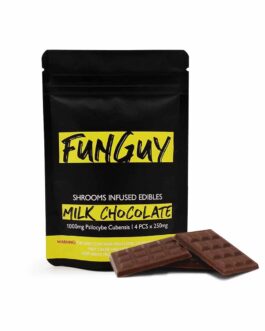 FunGuy Mushroom chocolate bar