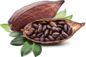 ingredient 1